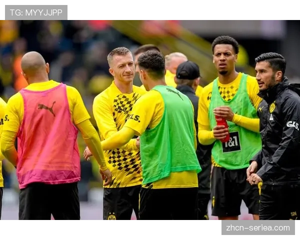 球迷闯入赛场致比赛短暂中断，奥格斯堡球员迅速上前劝阻